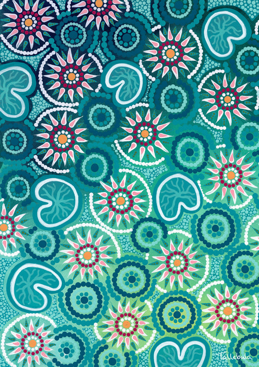 Waterlily (Moiyum)