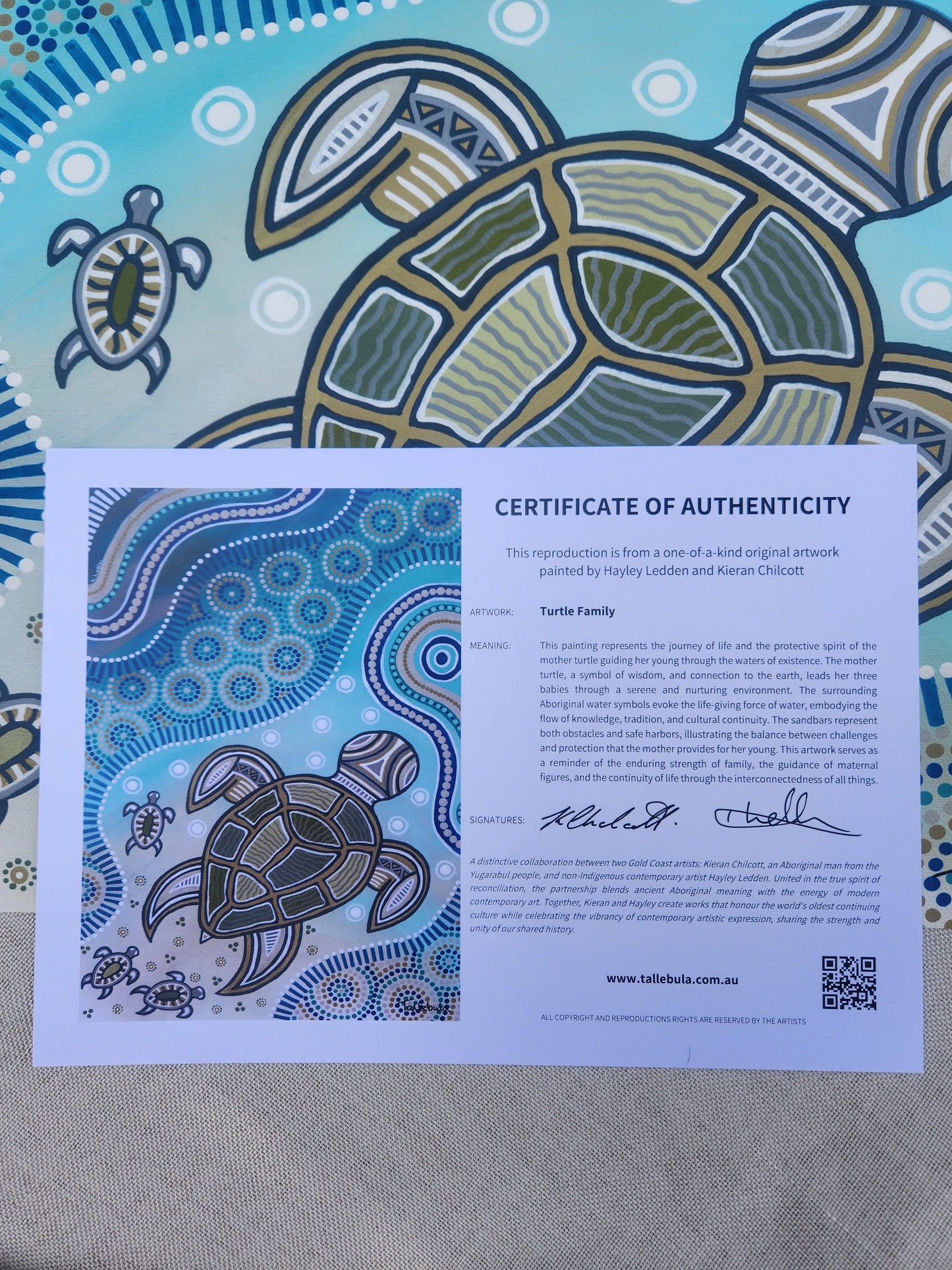 Turtle (Pigin) Family